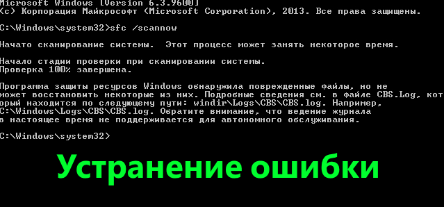 network worm virus download windows 98